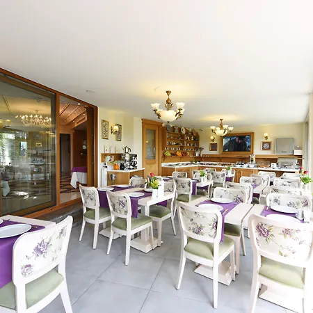 Glk Premier Sea Mansion & - Special Class 4*