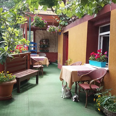 Anadolu Bed & Breakfast 3*
