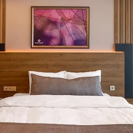 Rush Hotel