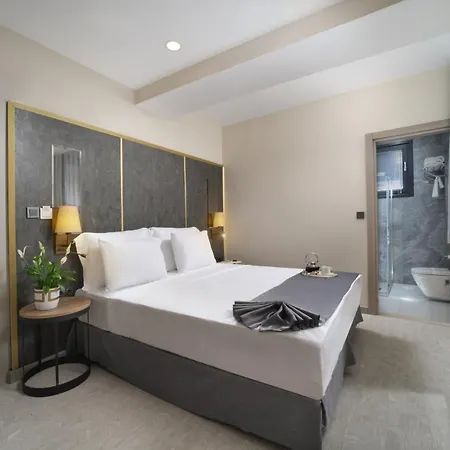 Hotel Imagine - Sultanahmet 4*