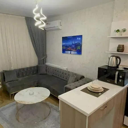 Apartment Classic Bh13 *
