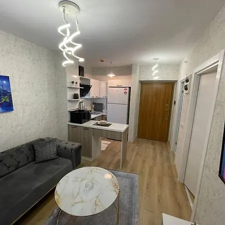 Apartment Classic Bh13 Istanbul