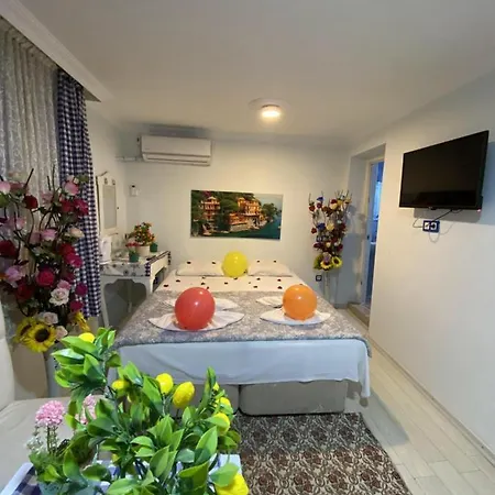 Sultanahmet Blue Viaport Hotel Istanbul