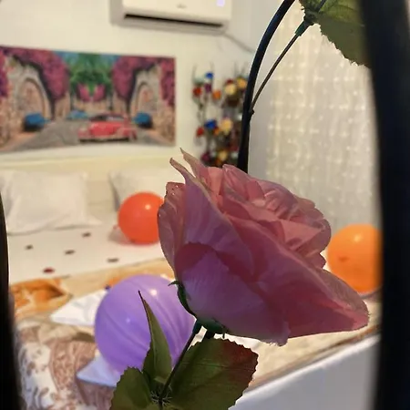 Hotel Sultanahmet Blue Viaport Istanbul