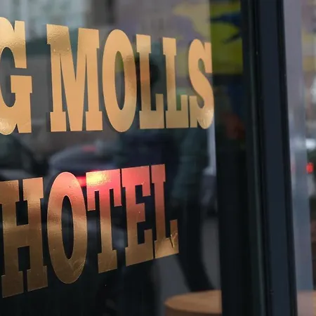 Hotel Big Molls