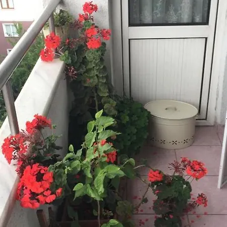 Single Room, одноместная комната в доме, D'une Personne, Individual * Istanbul