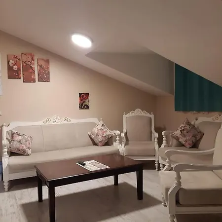 216 Turkuaz Istanbul
