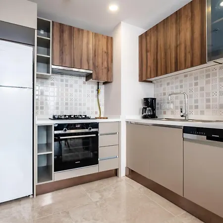 Apartment Sleek Flat In Kagithane With Terrace