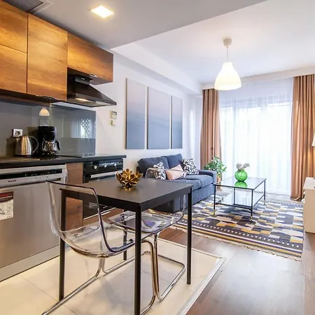Stylish Flat With Location In Sisli Apartment