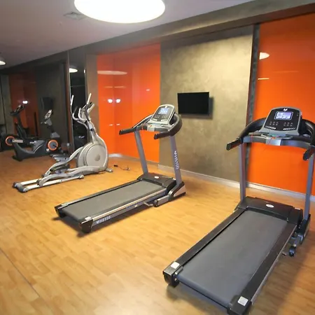Apartment Luxury 1-bedroom In Taksim