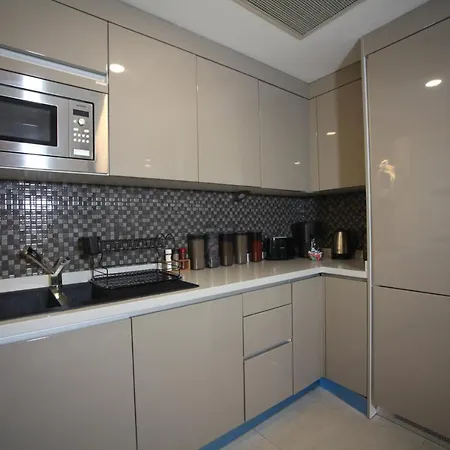 Apartment Luxury 1-bedroom In Taksim