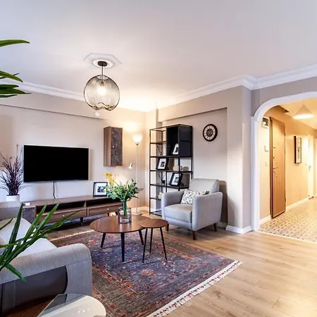 Modern Flat Close To Istiklal Street With Balcony Apartment Istanbul