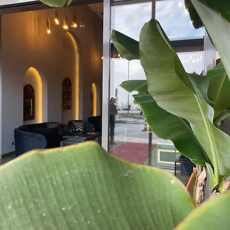 Agora Royal *