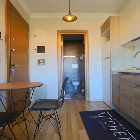 Apartment Studio Flat With S Istanbul