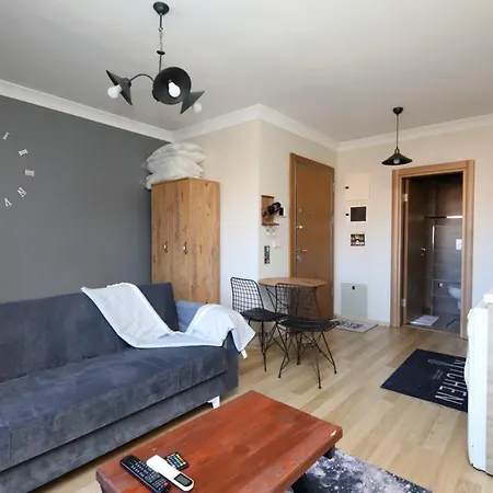 Studio Flat With S Apartment *