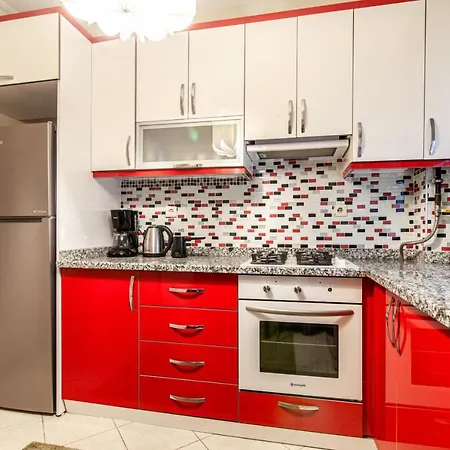Central And Convenient Flat In Sisli Apartment