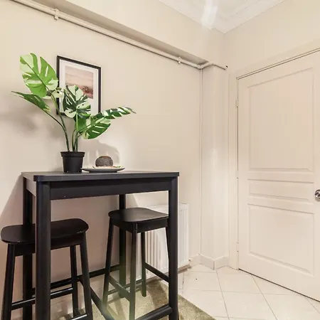Apartment Central And Convenient Flat In Sisli *