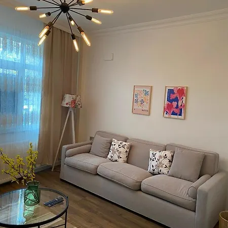 Apartment Center Of In Besiktas 2 1 With 2 Bathroom And 3 Air Conditioner