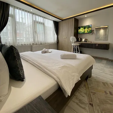아파트 Blue Mansion & Flats 이스탄불