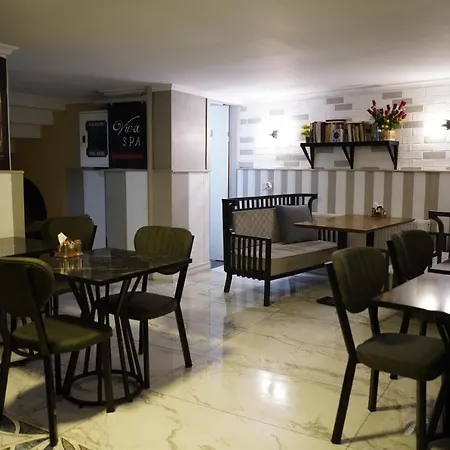 Old Viva Hotel Istanbulská provincie