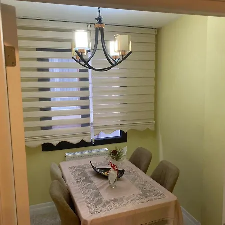 L'elegance De Jjm *