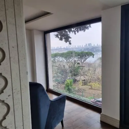 Amazing Bosphorus Near Beylerbeyi Palace Villa