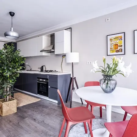 Apartment Flat With Sleek Interior In Sisli Istanbul