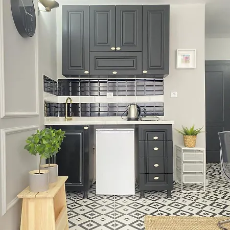 Refreshing And Central Studio Flat In Kabatas Apartment Istanbul