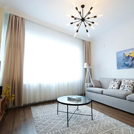 Center Of In Besiktas 2 1 With 2 Bathroom And 3 Air Conditioner Apartment Istanbul