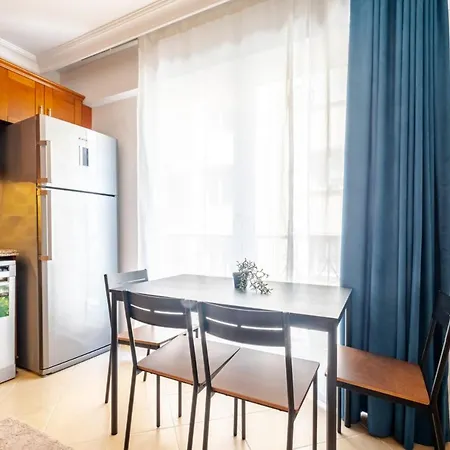 Splendid Flat With Location In Sisli *