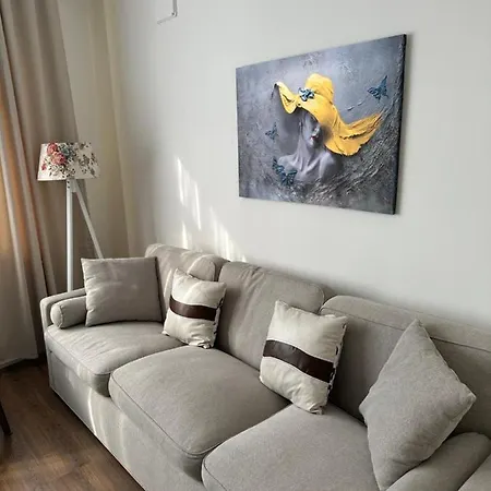 Center Of In Besiktas 2 1 With 2 Bathroom And 3 Air Conditioner * Istanbul