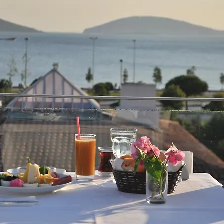 Island Hotel
