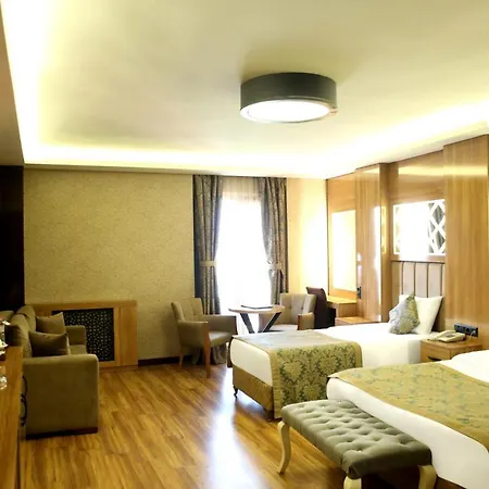Gumus Palace Hotel Istanbul
