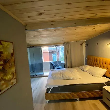 Apartment Demirtas House