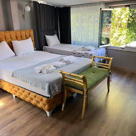 Apartment Demirtas House *