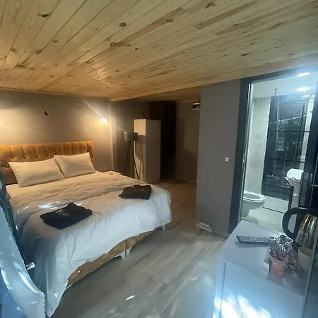 Apartment Demirtas House Istanbul