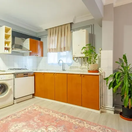 Flat 800 M To Cevahir Mall In Sisli Istanbul