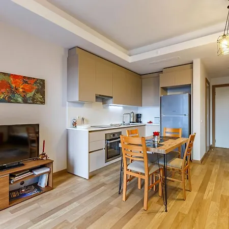 Modern Studio Flat With City View In Sariyer Apartment Istanbul