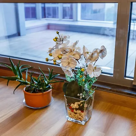 Modern Studio Flat With City View In Sariyer