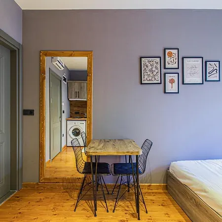 Sleek Studio Flat Close To Kennedy Avenue In Fatih * Istanbul