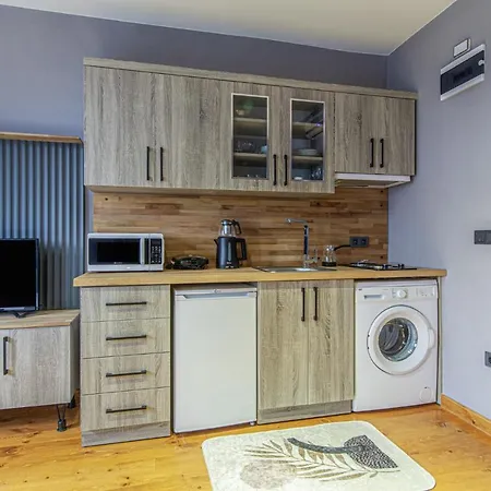 Apartment Sleek Studio Flat Close To Kennedy Avenue In Fatih Istanbul