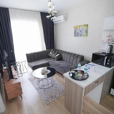 Apartment Classic Ts23