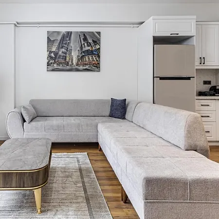 Central And Modernly Furnished Flat In Sisli
