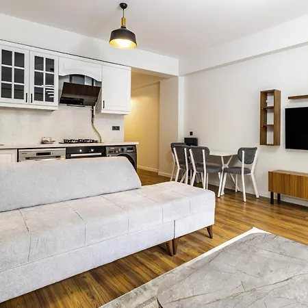 Central And Modernly Furnished Flat In Sisli
