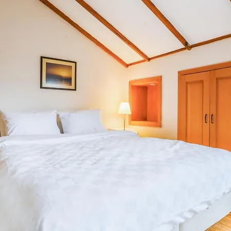 Villa Spacious Private With Pool In Sile Ahmetli