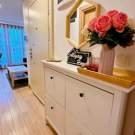 Apartment Aliya No1-new Close To Taksim Istanbul