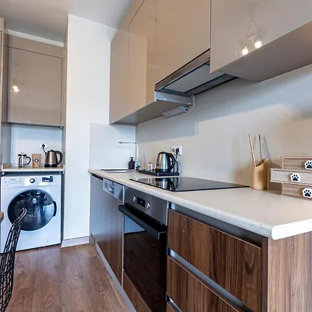 Lux Furnished Modern Apartment