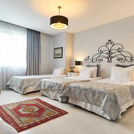 Hotel Celal Sultan Special Class 4*