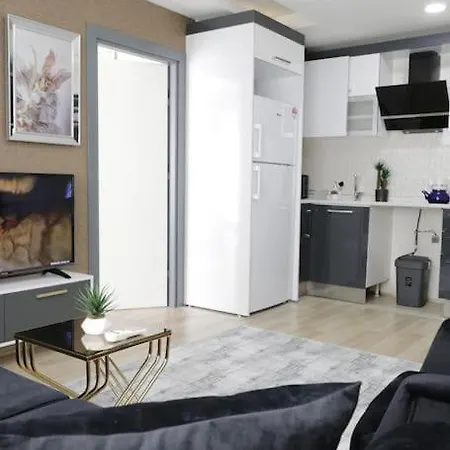 Apartment Fully Equipped Istanbul