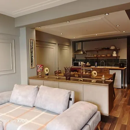 Taksim Meydana Komsu Cihangir De Genis 1+1 * Istanbul